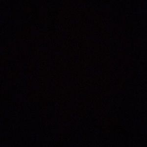 Meet your Posher, Felix